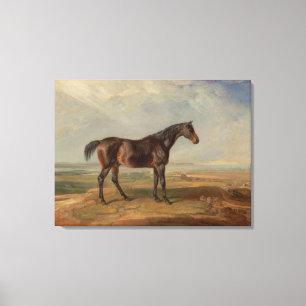 Lienzo James Ward - Dr. Syntax, un caballo de carreras de