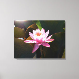 Lienzo Jardín acuático de color rosa y floral iluminado p