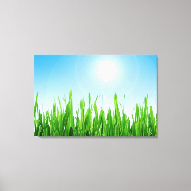 Lienzo Jardín de césped verde con diseño de cielo azul (Anverso)