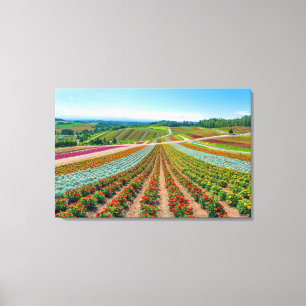 Lienzo Jardín de flores   Shikisai No Oka Flower Farm