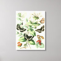 Jardín de mariposas y flores