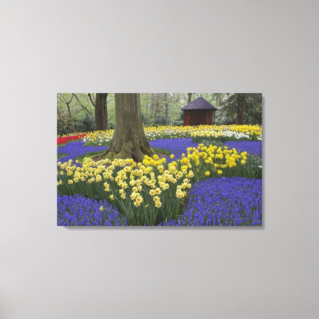 Lienzo Jardín de narcisos, jacintos de uva y tulipanes, (Anverso)