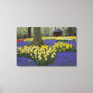 Lienzo Jardín de narcisos, jacintos de uva y tulipanes,
