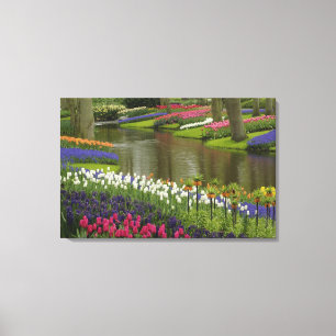 Lienzo Jardín de tulipanes e jacintos, Jardines Keukenhof