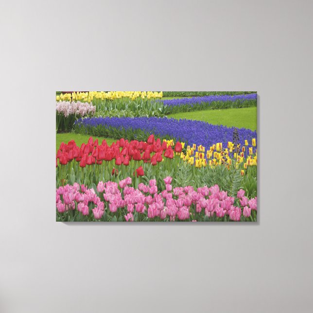 Lienzo Jardín de tulipanes, jacintos de uva y (Anverso)
