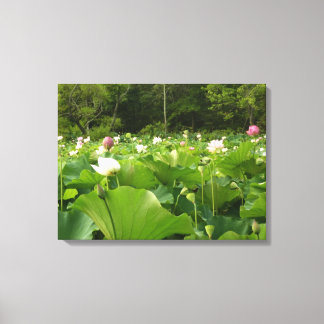 Lienzo Jardín de verano de Lotus Flowers