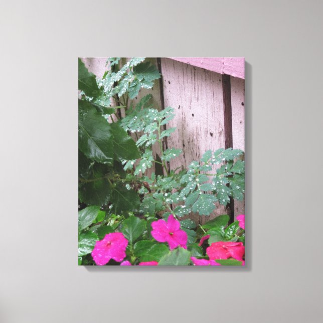 Lienzo Jardín después de la lluvia - Viñedo de Martha (Anverso)