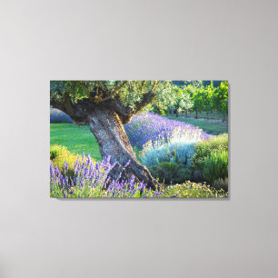 Lienzo Jardín escénico con flores, Francia