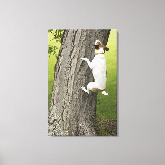 Lienzo Jardines botánicos, Sydney, Nueva Gales del Sur, 4 (Anverso)