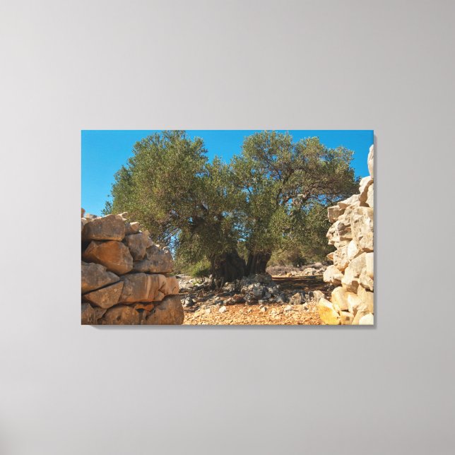 Lienzo Jardines de oliva de Lun (Anverso)