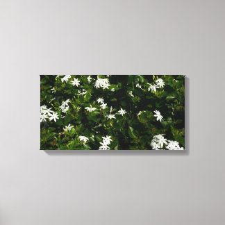 Lienzo Jazmín Flores Tropicales Florales Botánicas