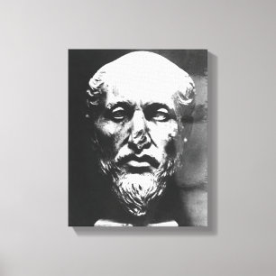 Lienzo Jefe de Plotinus