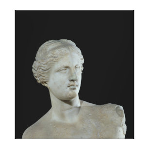 Lienzo Jefe del Venus de Milo, c.100 A.C.