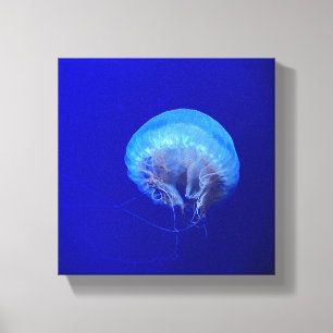 Lienzo Jellyfish