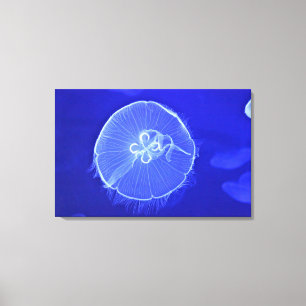 Lienzo Jellyfish 2