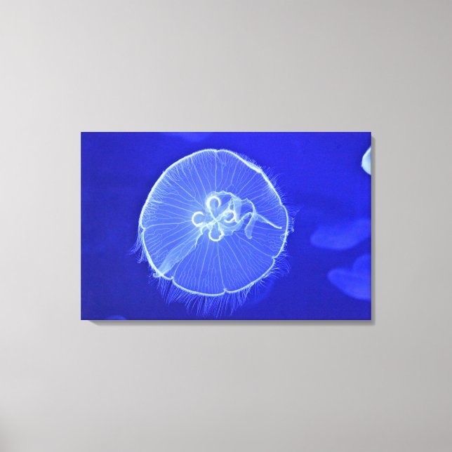 Lienzo Jellyfish 2 (Anverso)