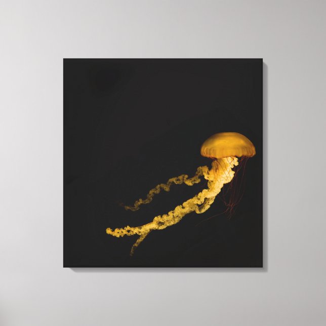 Lienzo Jellyfish 3 (Anverso)