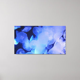 Lienzo JELLYFISH EN CANVAS 20 "x 16"