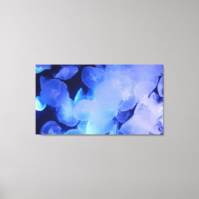 Lienzo JELLYFISH EN CANVAS 20 "x 16" (Anverso)