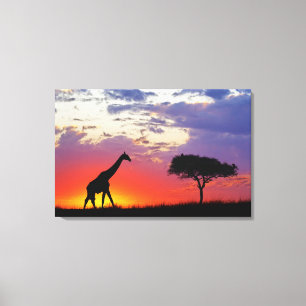 Lienzo Jirafa silueteada al amanecer, Giraffa
