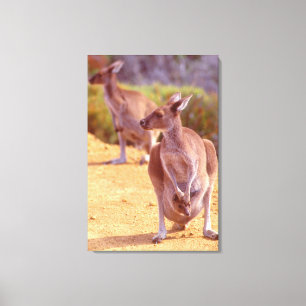 Lienzo JOEY y MOM 24x36