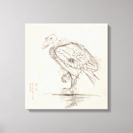 Lienzo Jonge vogel, staand naar links op één poot, Jan Ma