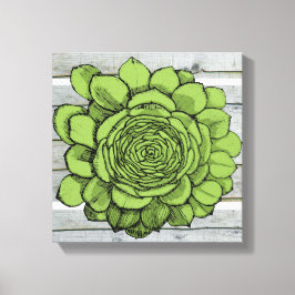 Lienzo Jonus the Jovibarba heuffelii