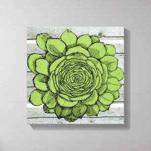 Lienzo Jonus the Jovibarba heuffelii