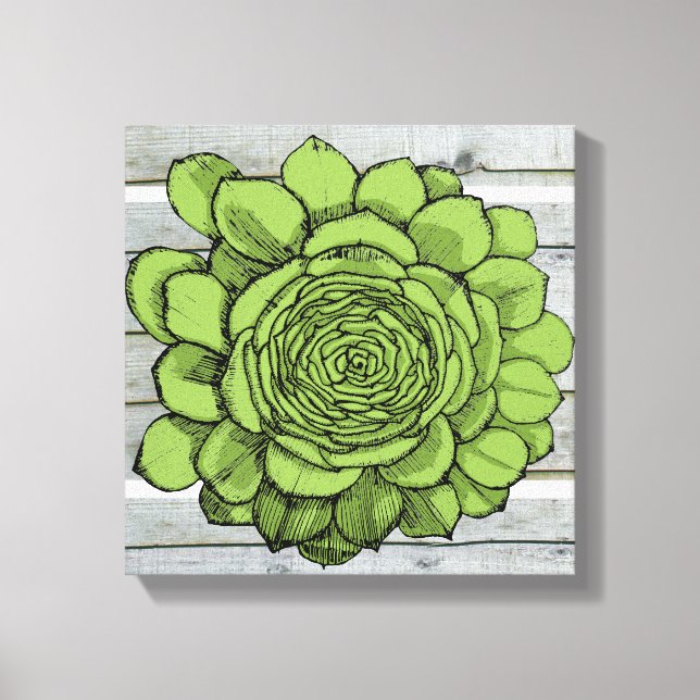 Lienzo Jonus the Jovibarba heuffelii (Anverso)