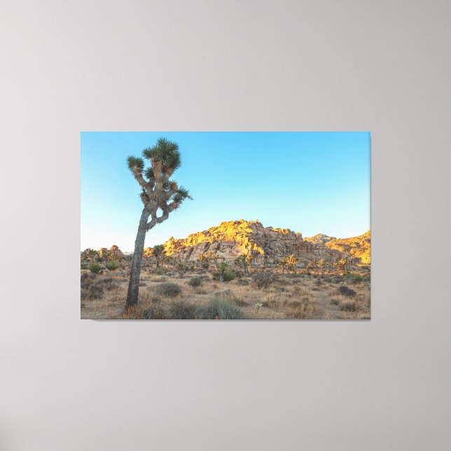 Lienzo Joshua Tree (Anverso)
