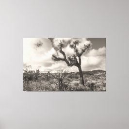 Lienzo Joshua Tree bw