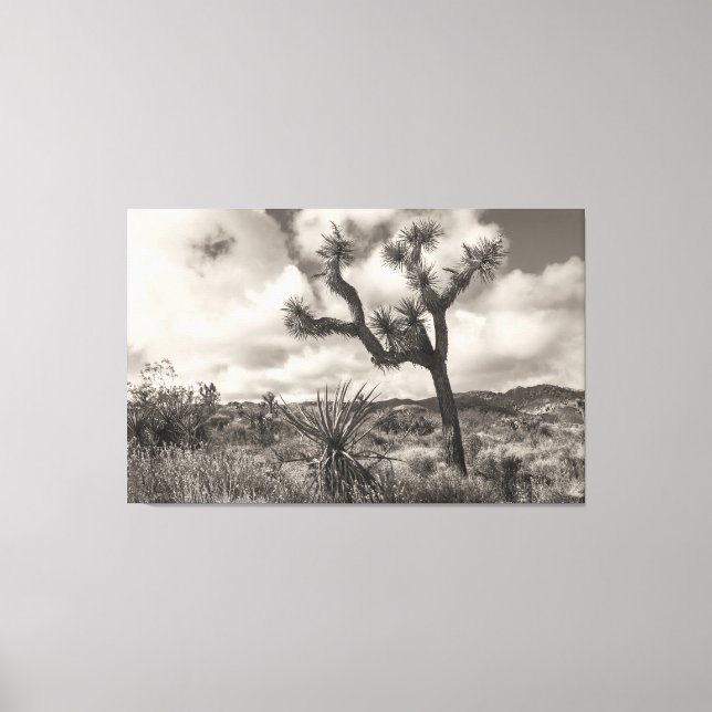 Lienzo Joshua Tree bw (Anverso)
