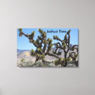 Lienzo Joshua Tree en California