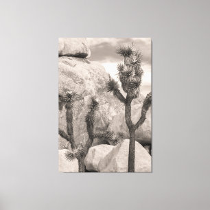 Lienzo Joshua Trees
