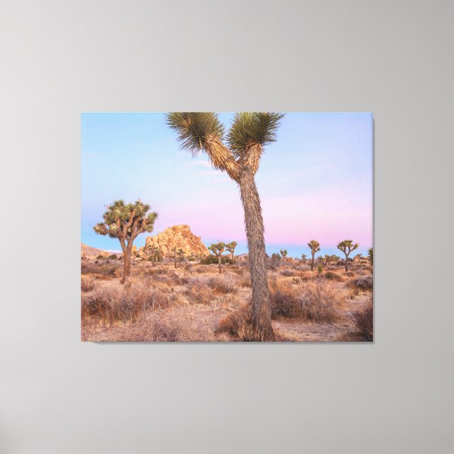 Lienzo Josua Trees Sunrise (Anverso)
