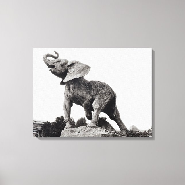 Lienzo Joven elefante atrapado en una trampa (Anverso)