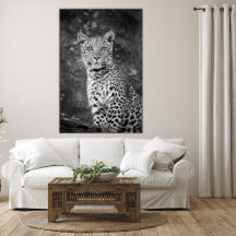 Joven leopardo de ojos brillantes