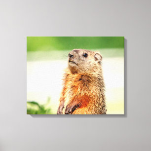 Lienzo Jóvenes Groundhog 20x16