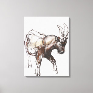 Lienzo Jóvenes Ibex Gran Paradiso 2005