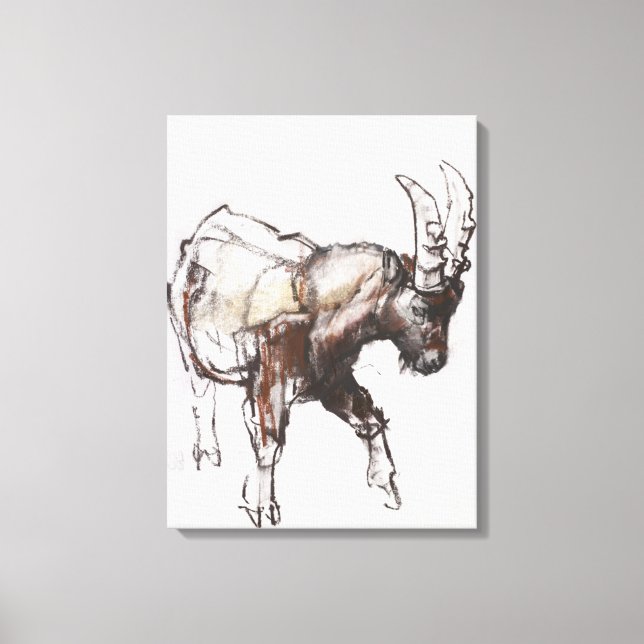Lienzo Jóvenes Ibex Gran Paradiso 2005 (Anverso)