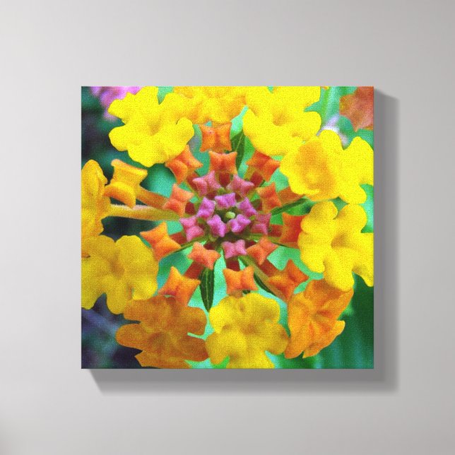 Lienzo Joyas de verano (Anverso)