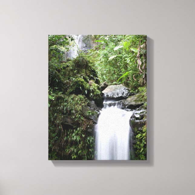 Lienzo Juan Diego Falls (Anverso)