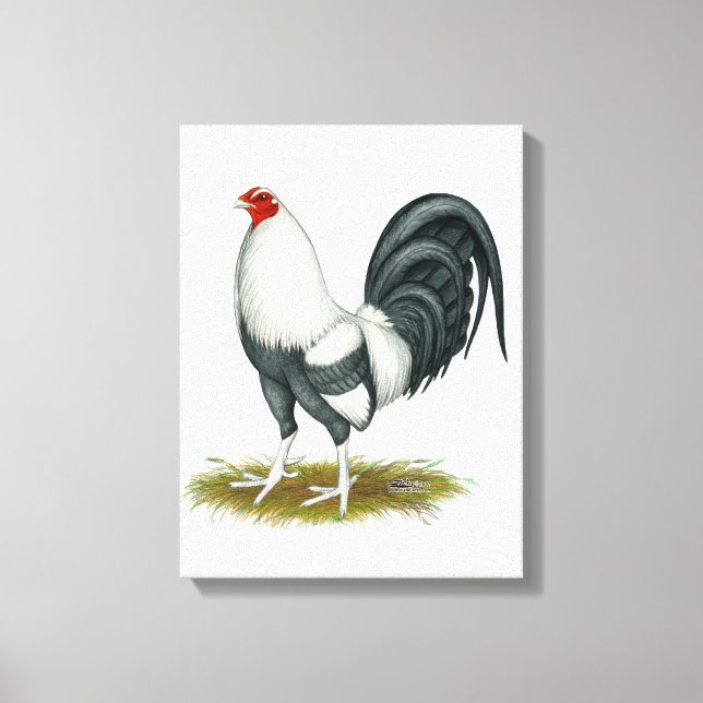 Lienzo Juego Americano Gallo de Juego Plateado Azul (Anverso)