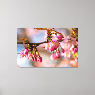 Lienzo Juego de luz y sombra en los pétalos de la flor de