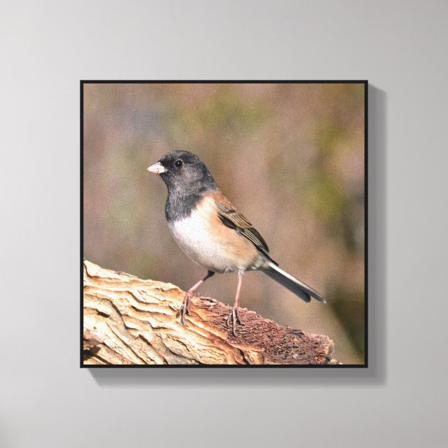 Lienzo Junco (Anverso)