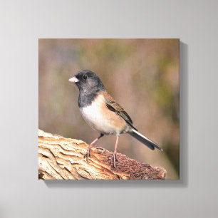 Lienzo Junco