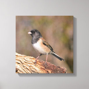 Lienzo Junco de ojos oscuros