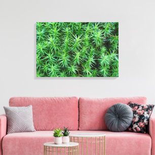 Lienzo Juniper Hair Cap Moss