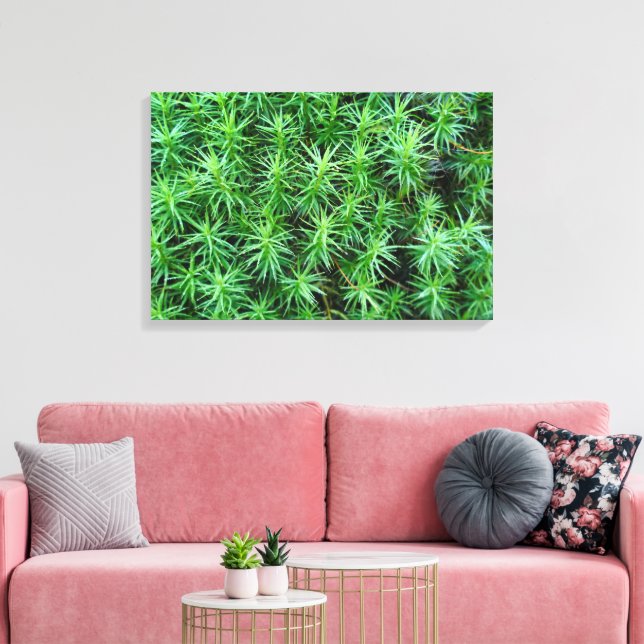 Lienzo Juniper Hair Cap Moss (Insitu (Sala de estar))