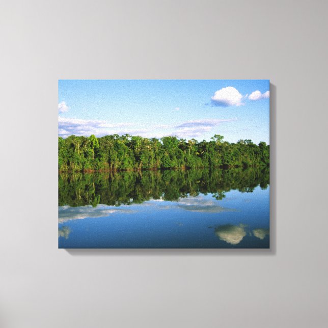Lienzo Juruena, Brasil. Orilla del río boscosa reflejada (Anverso)